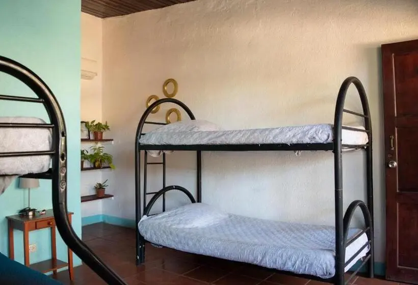 ファミリールーム, Hostel La Botella De Leche   Tamarindo