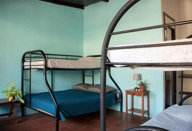 ファミリールーム, Hostel La Botella De Leche   Tamarindo