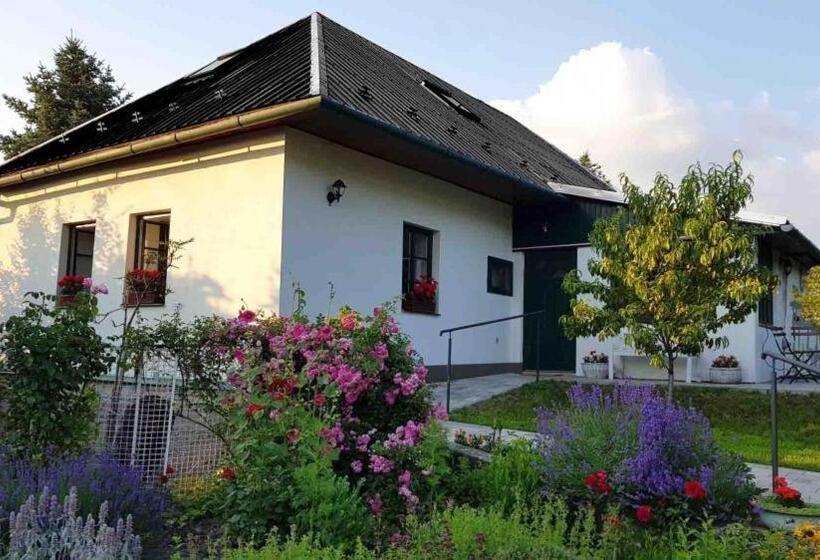 Апартаменты 1 Спальня, Pension Brusenka