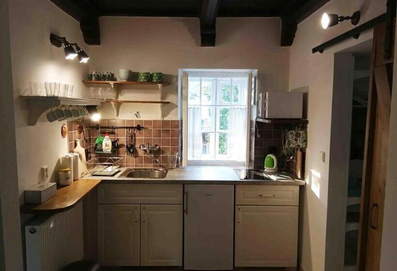 Апартаменты 1 Спальня, Pension Brusenka