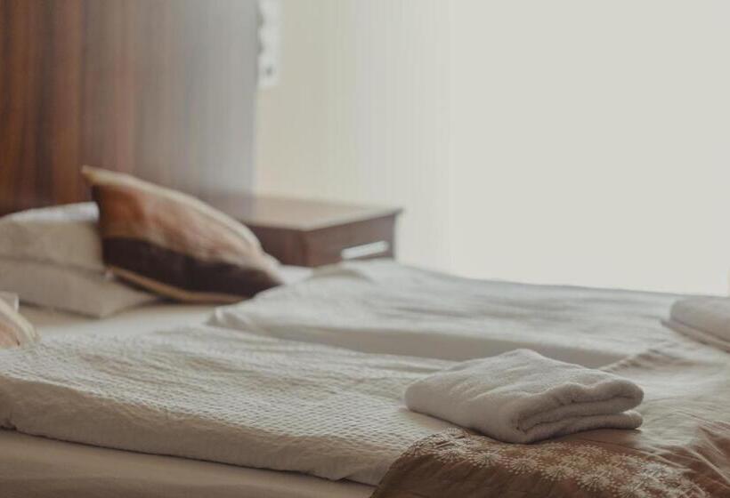 带露台的标准工作室, Petrény Borpanzió