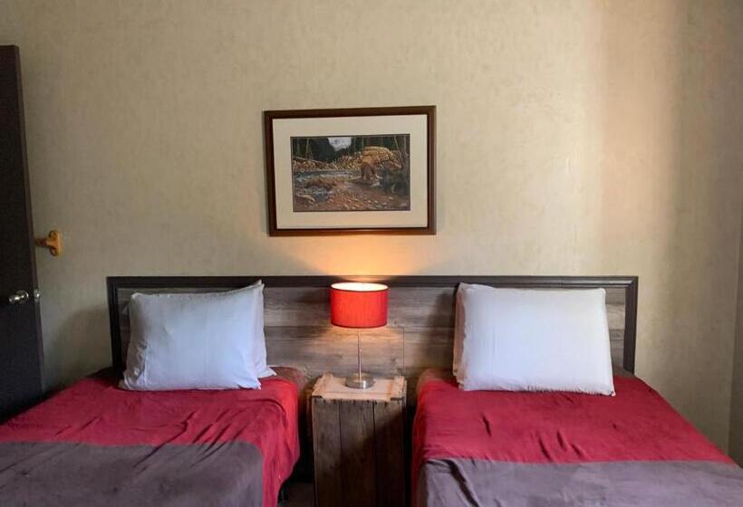 בקתת חדר, L'auberge Refuge Du Trappeur