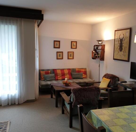 חדר סטודיו סטנדרד, Ferienwohnungen Chesa Clois 24 Studios