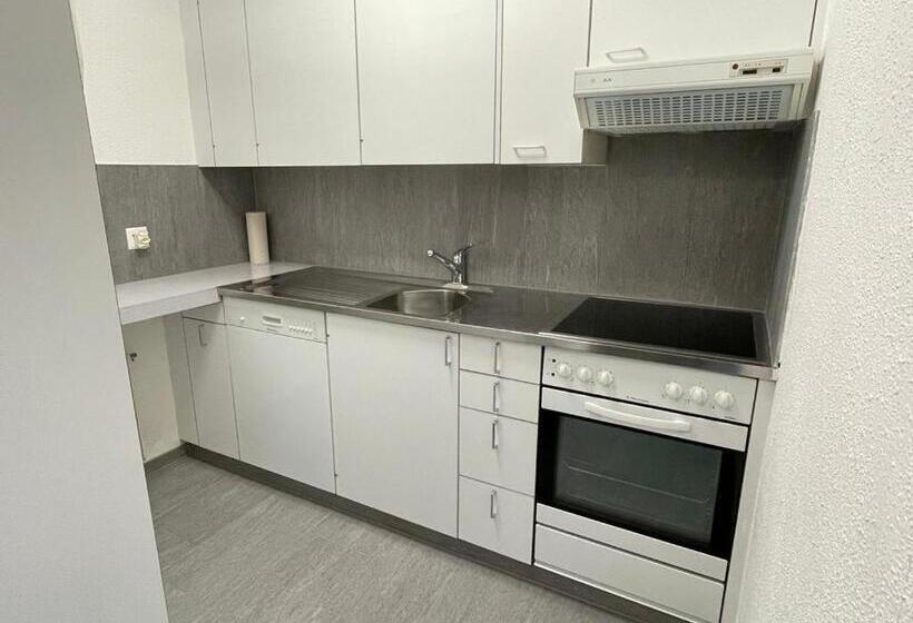 סטודיו סופריור, Ferienwohnungen Chesa Clois 24 Studios