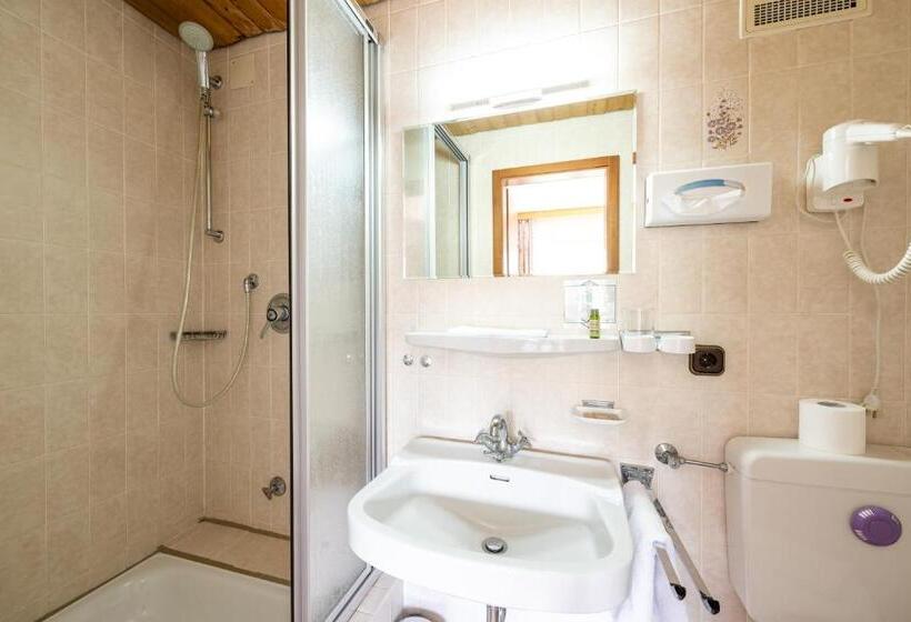 غرفة قياسية فردية, Haus Widdersteinblick