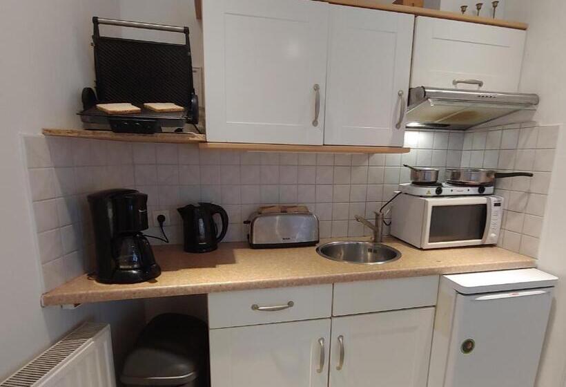 إستوديو قياسى مزودة بتراس, Pension Schier