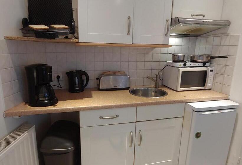 إستوديو قياسى مزودة بتراس, Pension Schier