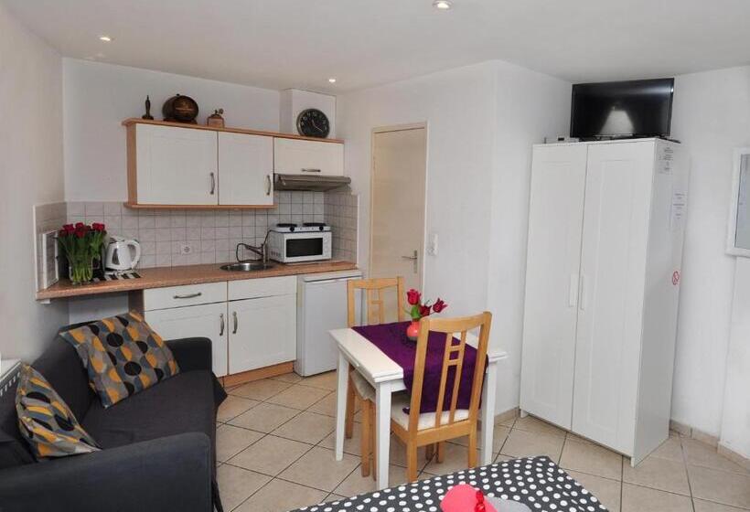 إستوديو قياسى مزودة بتراس, Pension Schier