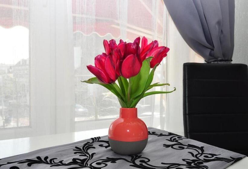 غرفة إقتصادية, Pension Schier