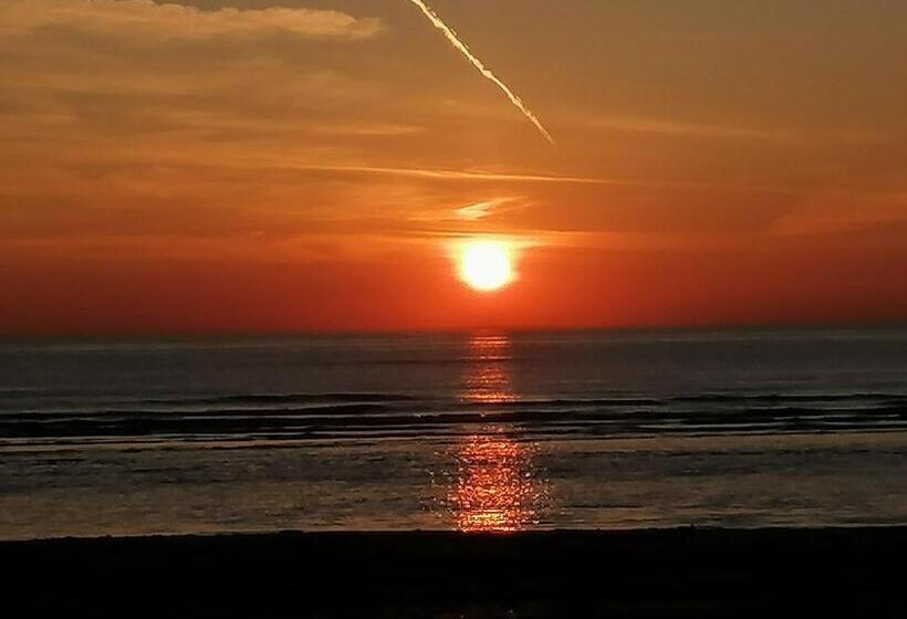 إستوديو كومفورت, Pension Schier