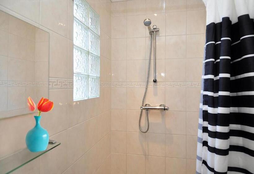 إستوديو كومفورت, Pension Schier