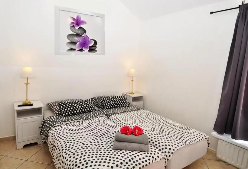 Economy Studio, Pension Schier