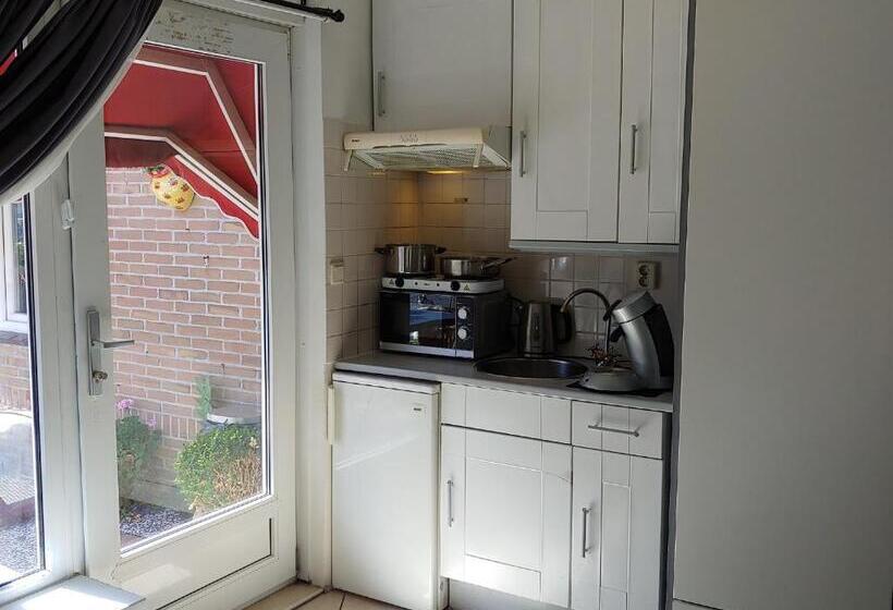 استوديو إقتصادى, Pension Schier