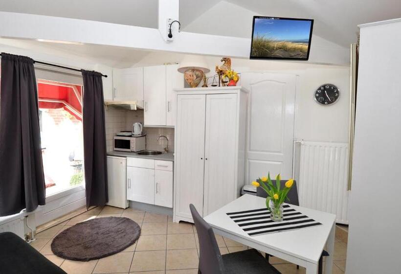 استوديو إقتصادى, Pension Schier