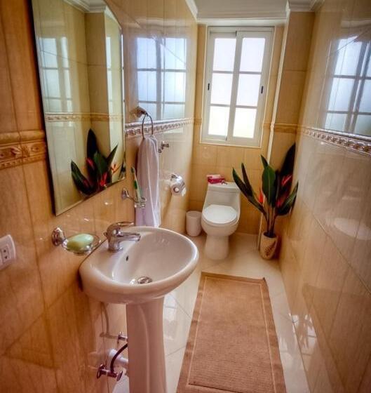 آپارتمان 1 خوابه, Shakey