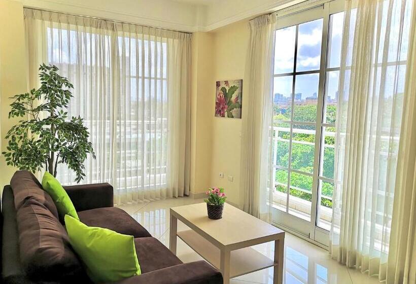 آپارتمان 1 خوابه, Shakey