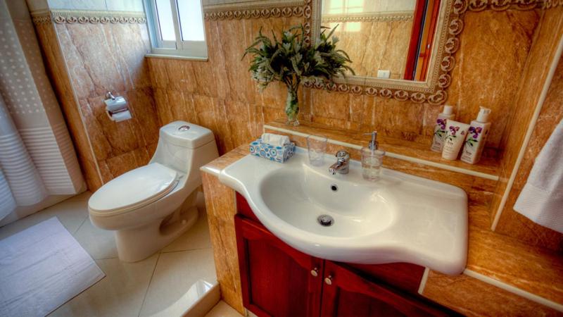 آپارتمان 2 خوابه, Shakey