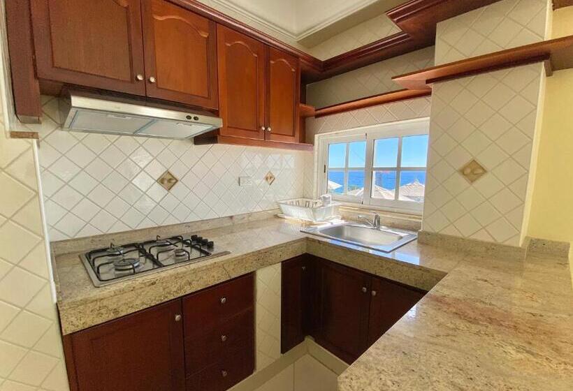 1 Bedroom Deluxe Apartment Sea View, Shakey