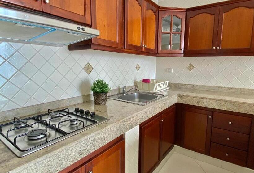 آپارتمان 2 خوابه, Shakey