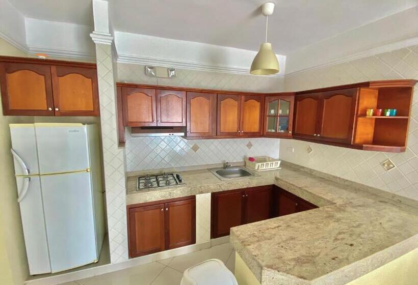 آپارتمان 2 خوابه, Shakey