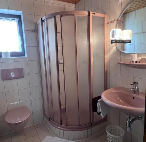 Номер Стандарт с Балконом, Frühstückspension Appartementhaus Wasserer