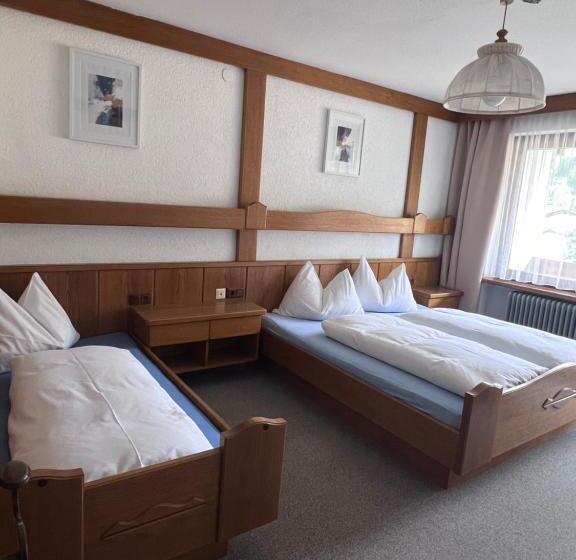 Трехместный Номер Стандарт с Балконом, Frühstückspension Appartementhaus Wasserer