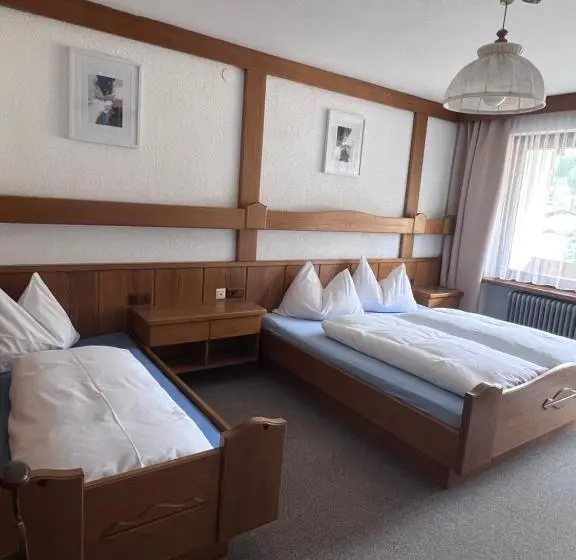 Standard Kolmen Hengen Huone Parveke, Frühstückspension Appartementhaus Wasserer