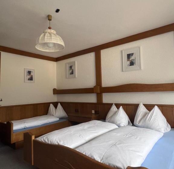 Трехместный Номер Стандарт с Балконом, Frühstückspension Appartementhaus Wasserer