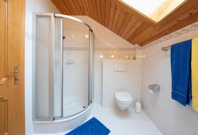 Апартаменты 1 Спальня с Балконом, Frühstückspension Appartementhaus Wasserer