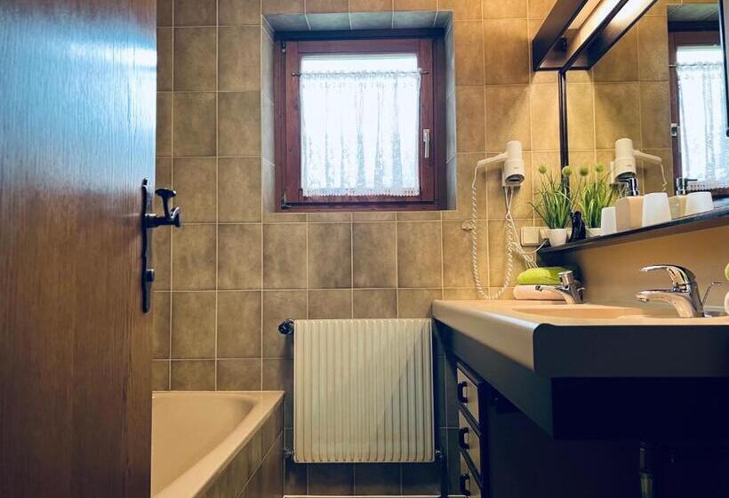 Апартаменты Комфорт 1 Спальня, Frühstückspension Appartementhaus Wasserer