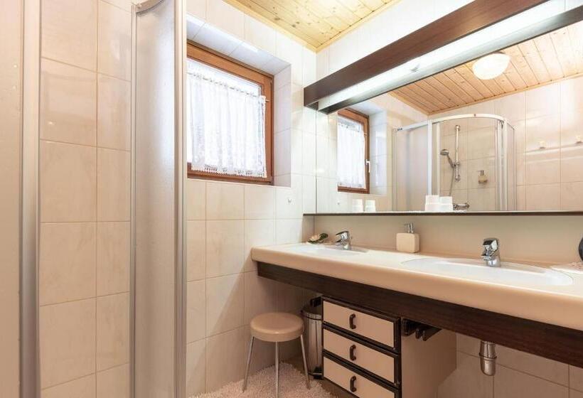 Апартаменты Семейные 1 Спальня, Frühstückspension Appartementhaus Wasserer