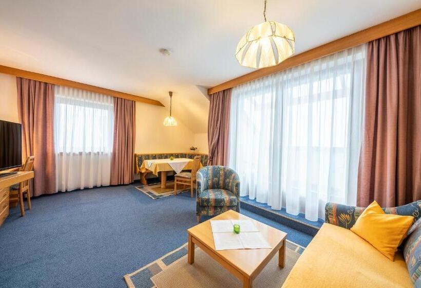 Апартаменты 1 Спальня с Видом, Frühstückspension Appartementhaus Wasserer