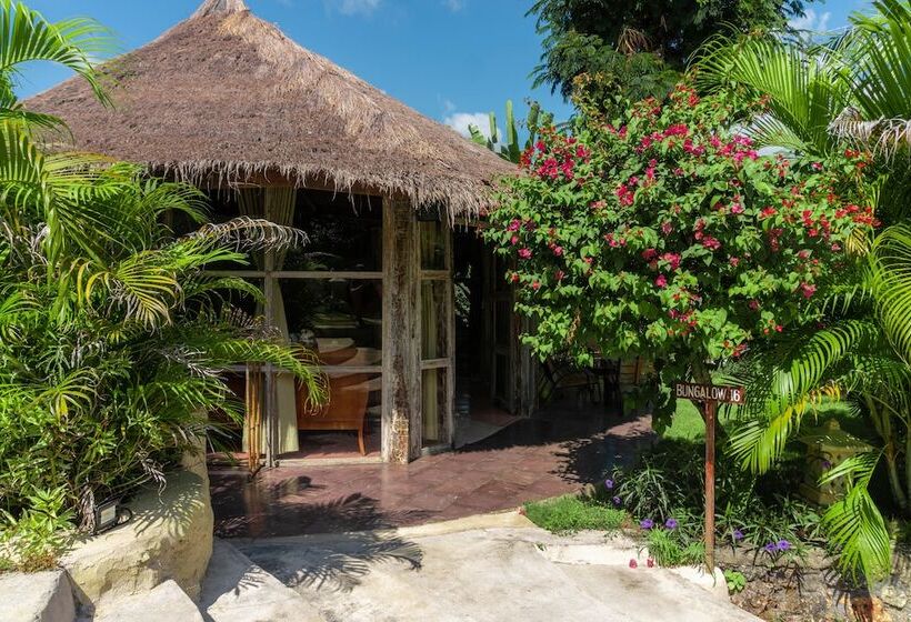 اتاق سوپریور, La Joya Biu Biu Resort