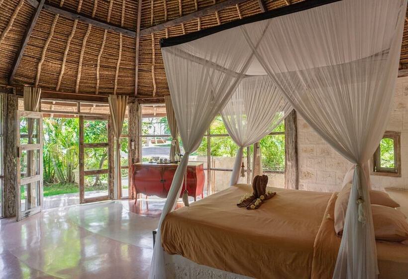 اتاق سوپریور, La Joya Biu Biu Resort