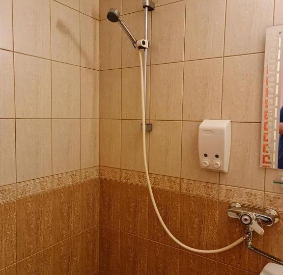 اتاق استاندارد یک نفره, Felixi Maja