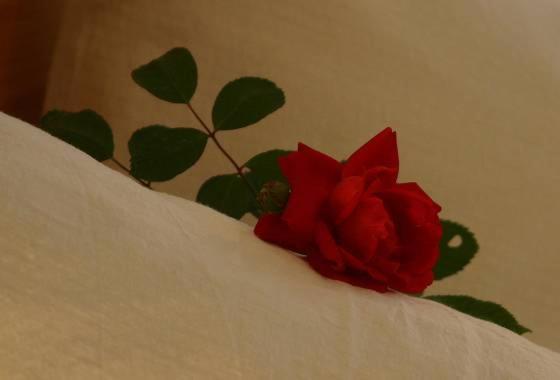 غرفة قياسية مزوَّدة بشُرفة, Fleckhof