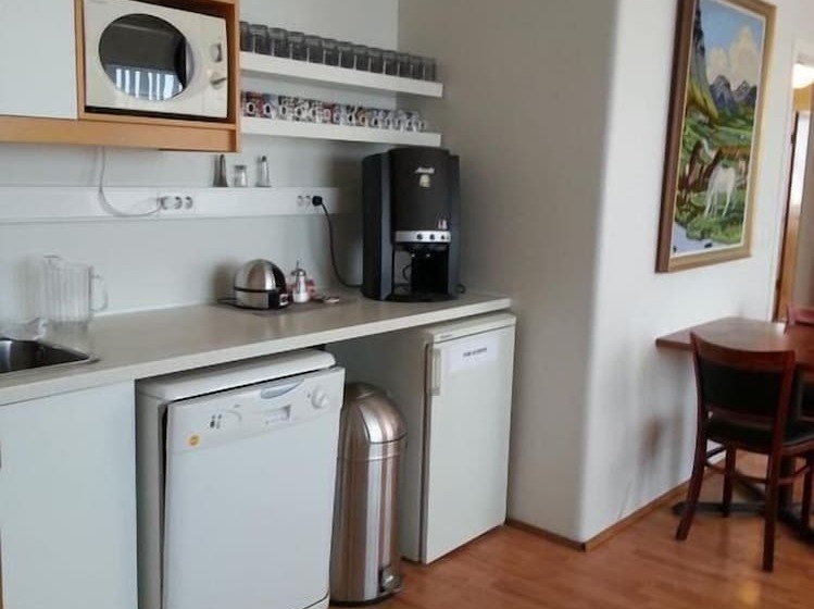 اتاق استاندارد چهارنفره با سرویس بهداشتی مشترک, Hafnarnes