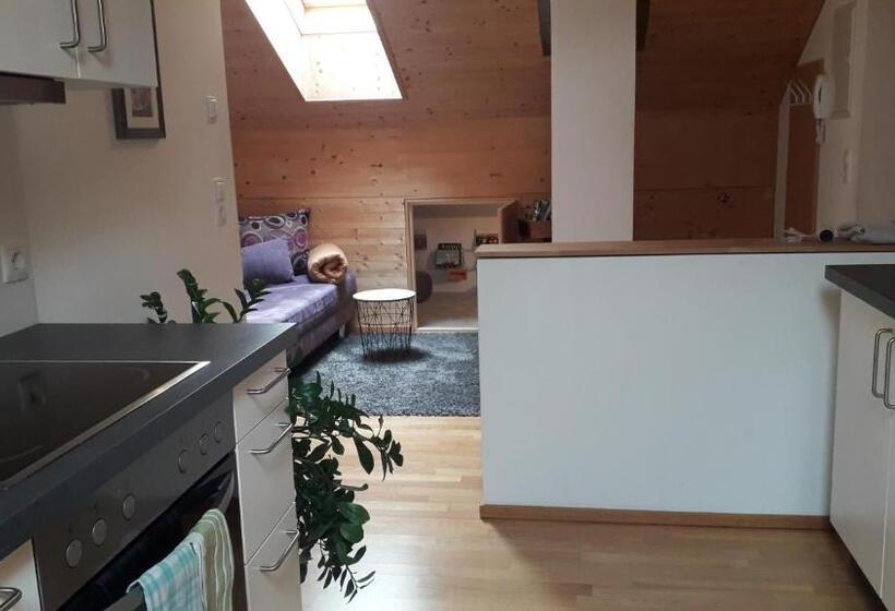 شقة غرفة نوم واحدة مزودة بشُرفة, Haus Hagspiel