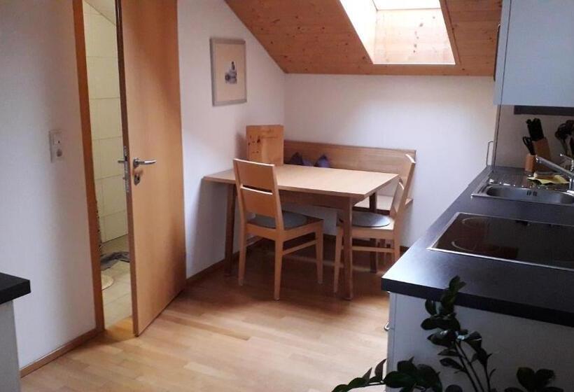 شقة غرفة نوم واحدة مزودة بشُرفة, Haus Hagspiel