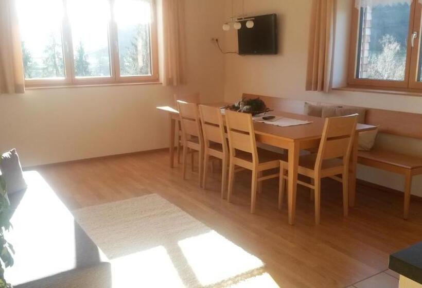 شقة غرفة واحدة ذات إطلالة, Haus Hagspiel