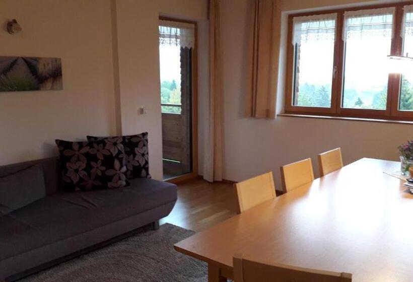 شقة غرفة واحدة ذات إطلالة, Haus Hagspiel