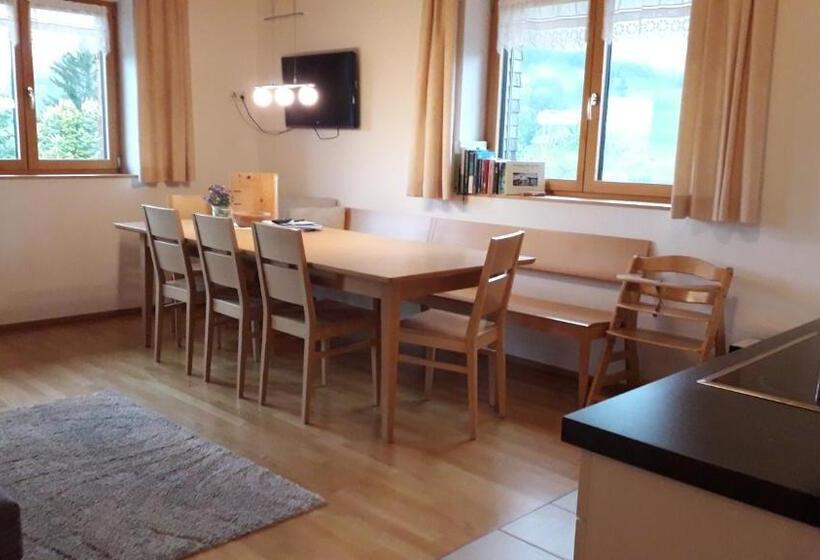 شقة غرفة واحدة ذات إطلالة, Haus Hagspiel