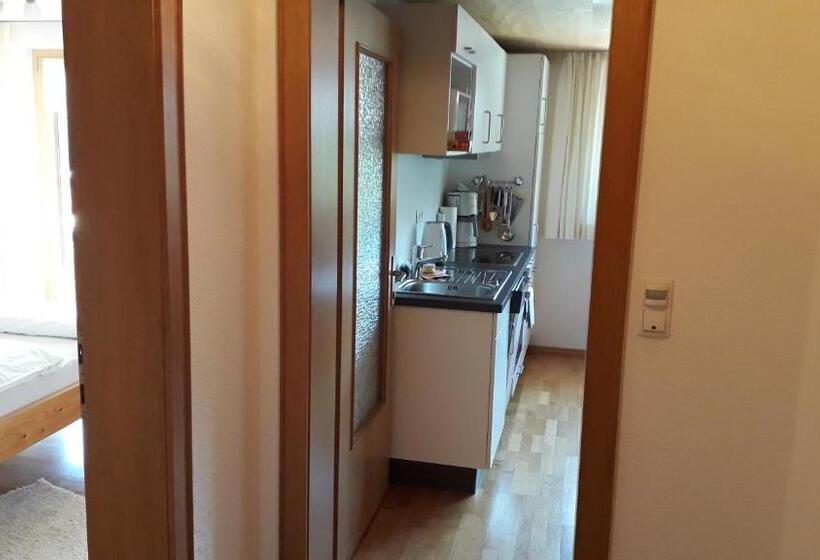 شقة غرفة نوم واحدة بالطابق الأرضى, Haus Hagspiel