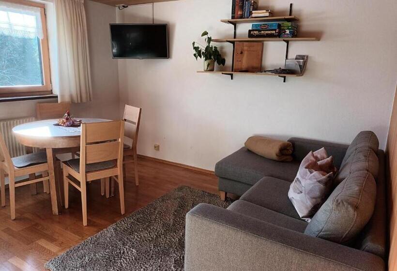 شقة غرفة نوم واحدة بالطابق الأرضى, Haus Hagspiel