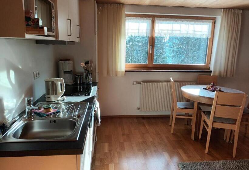 شقة غرفة نوم واحدة بالطابق الأرضى, Haus Hagspiel