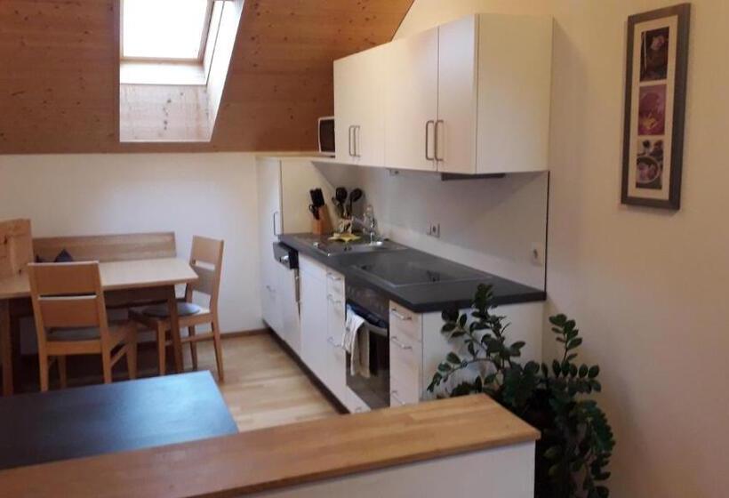 شقة غرفة نوم واحدة مزودة بشُرفة, Haus Hagspiel