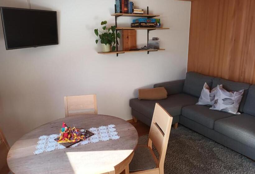 شقة غرفة نوم واحدة بالطابق الأرضى, Haus Hagspiel