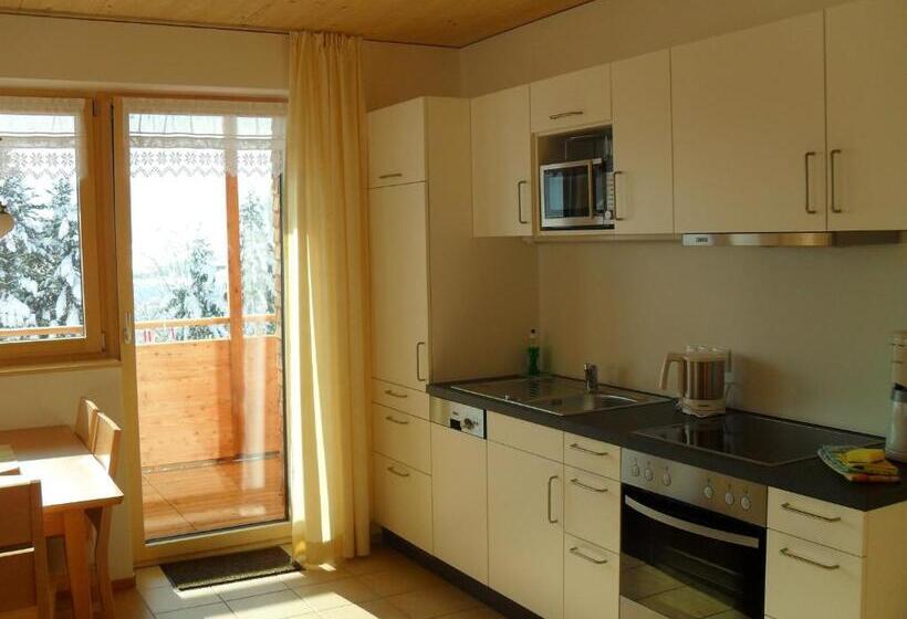 شقة غرفة نوم واحدة مزودة بشُرفة, Haus Hagspiel