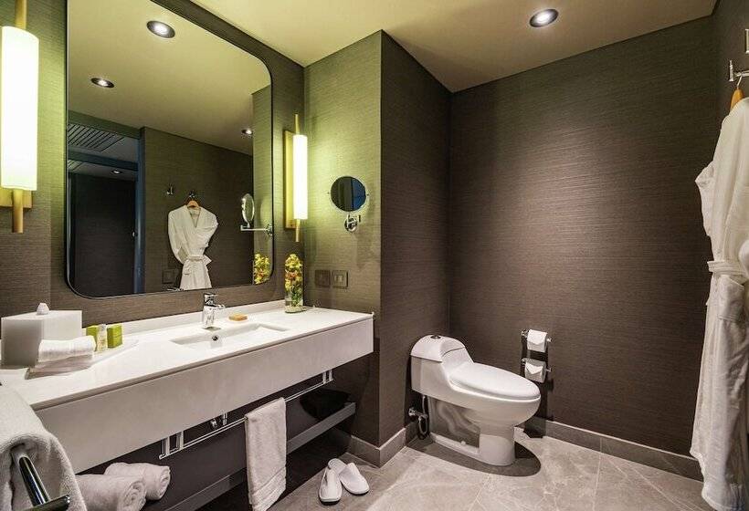 行政房间, Hilton Bogota Corferias