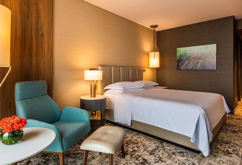 行政房间, Hilton Bogota Corferias